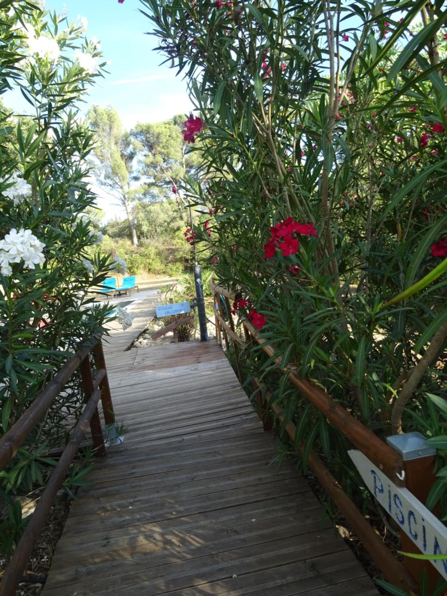 Les Ecrins D'Aix-En-Provence Villa Luaran gambar