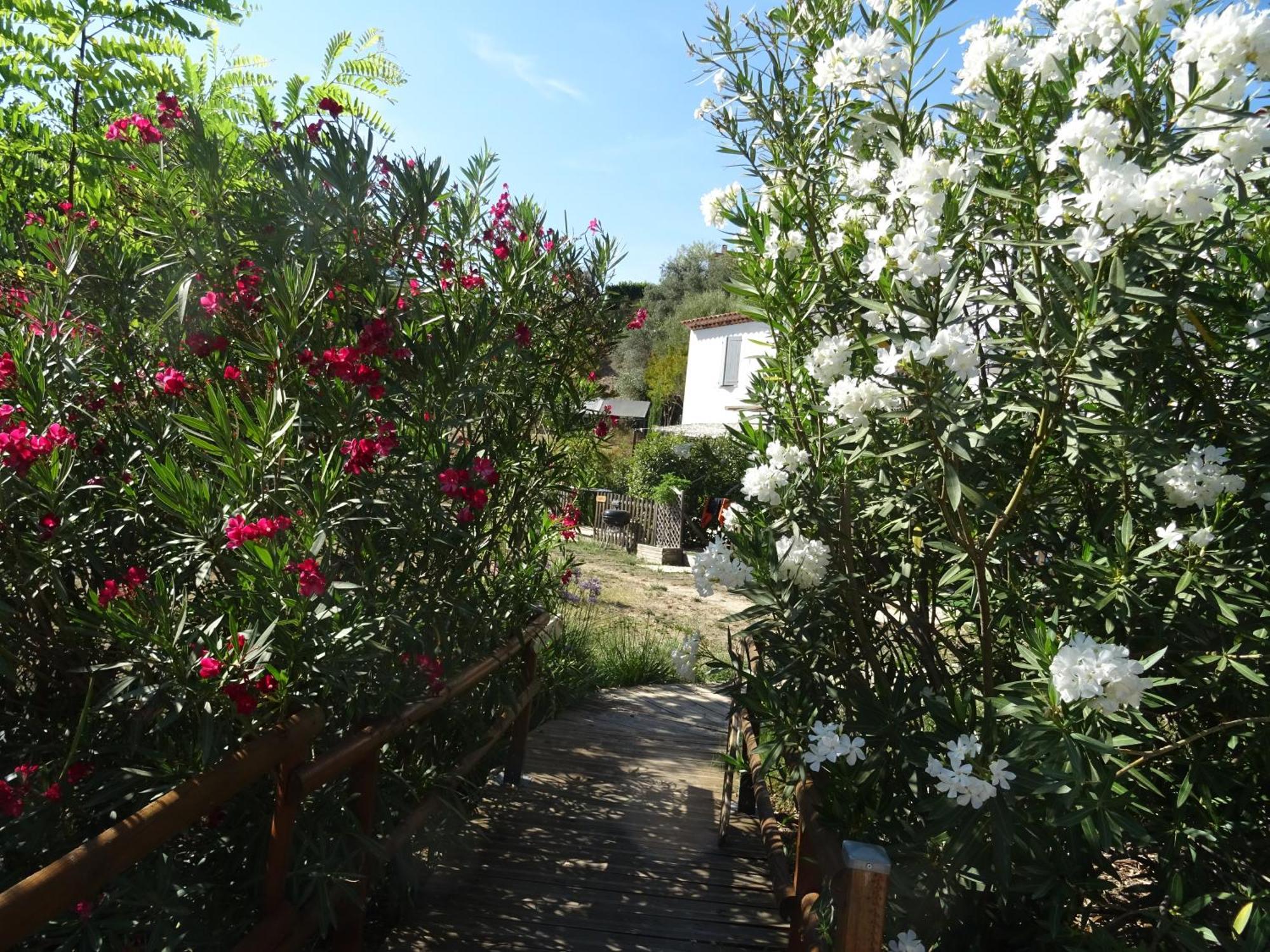 Les Ecrins D'Aix-En-Provence Villa Luaran gambar